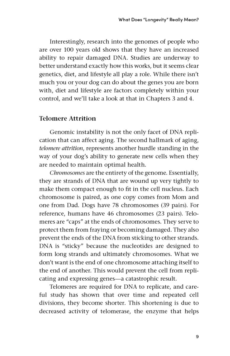 Longevity for Dogs - image 3