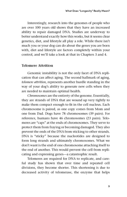 Longevity for Dogs - image 3