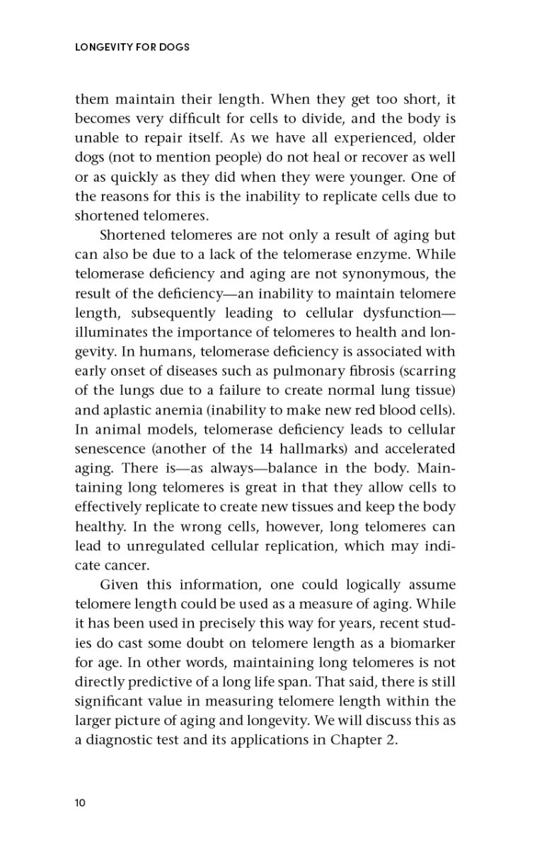 Longevity for Dogs - image 2