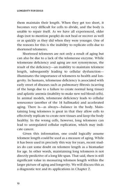 Longevity for Dogs - image 2