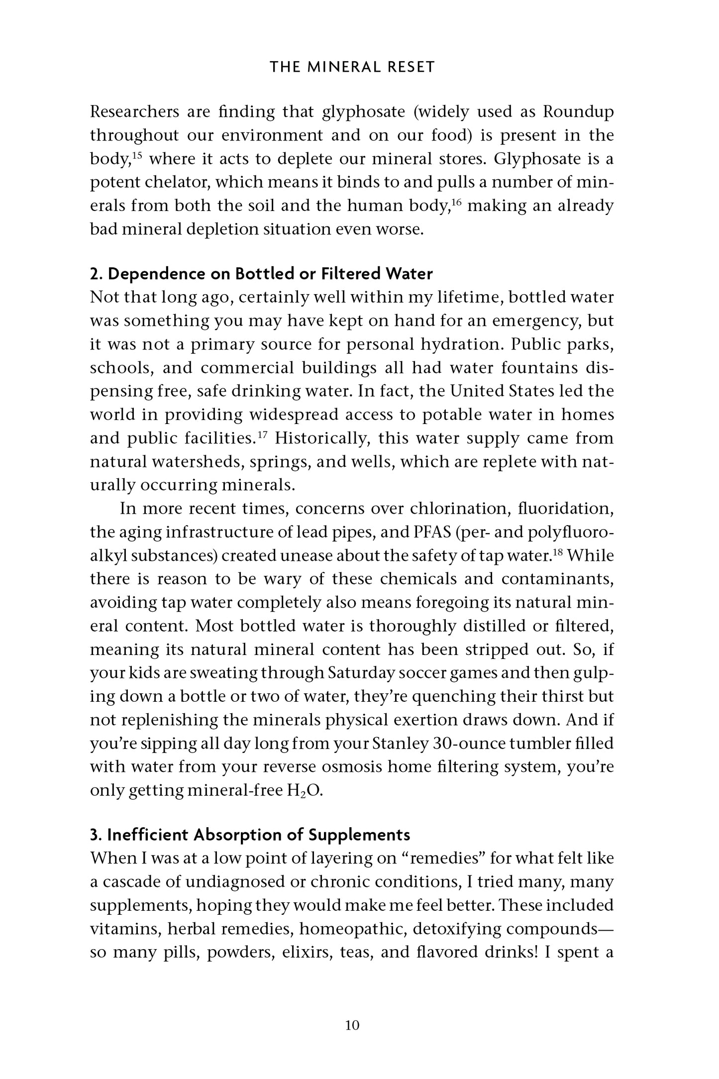 The Mineral Reset - image 3