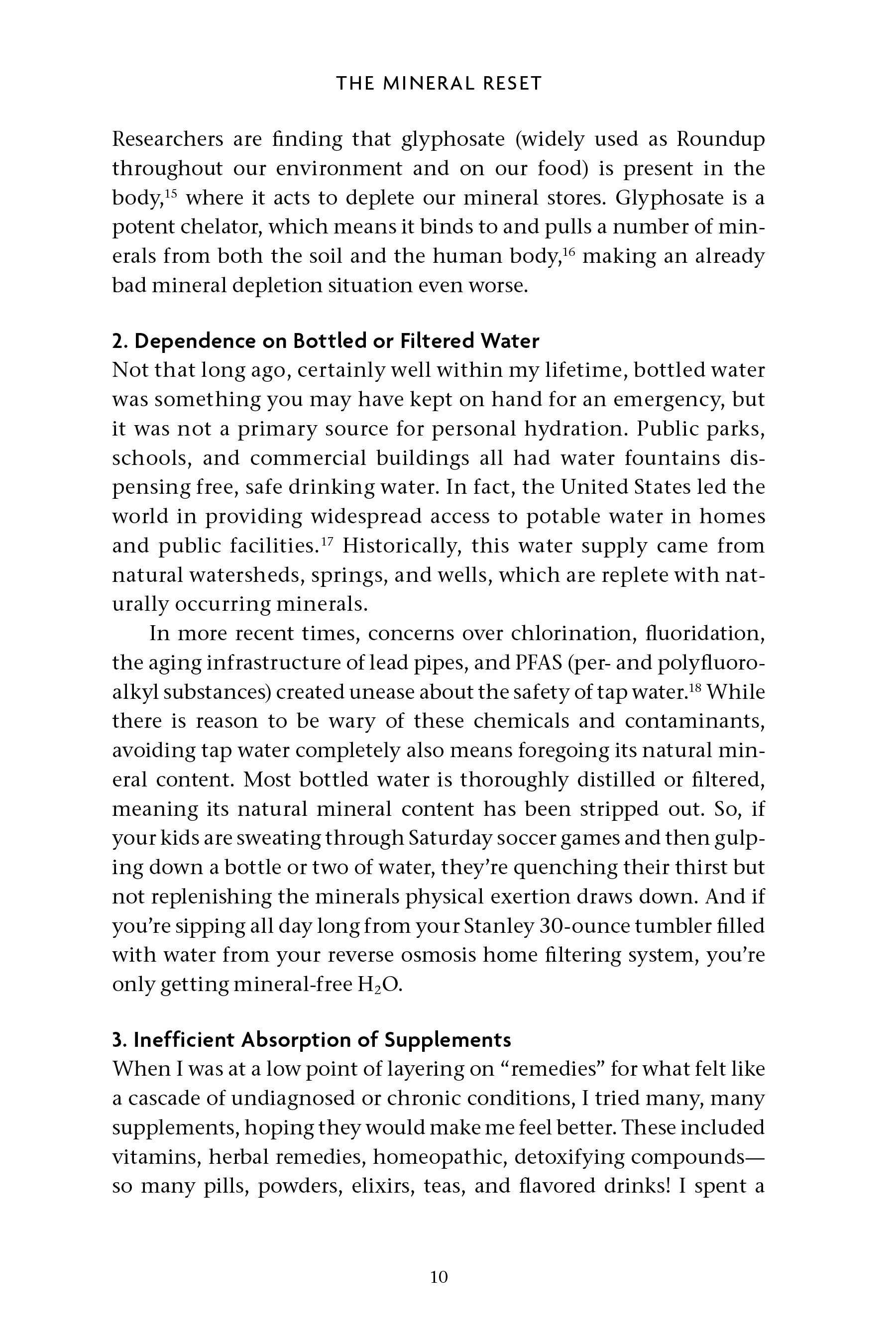 The Mineral Reset - image 3