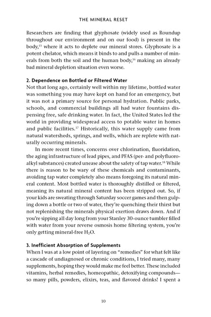 The Mineral Reset - image 3