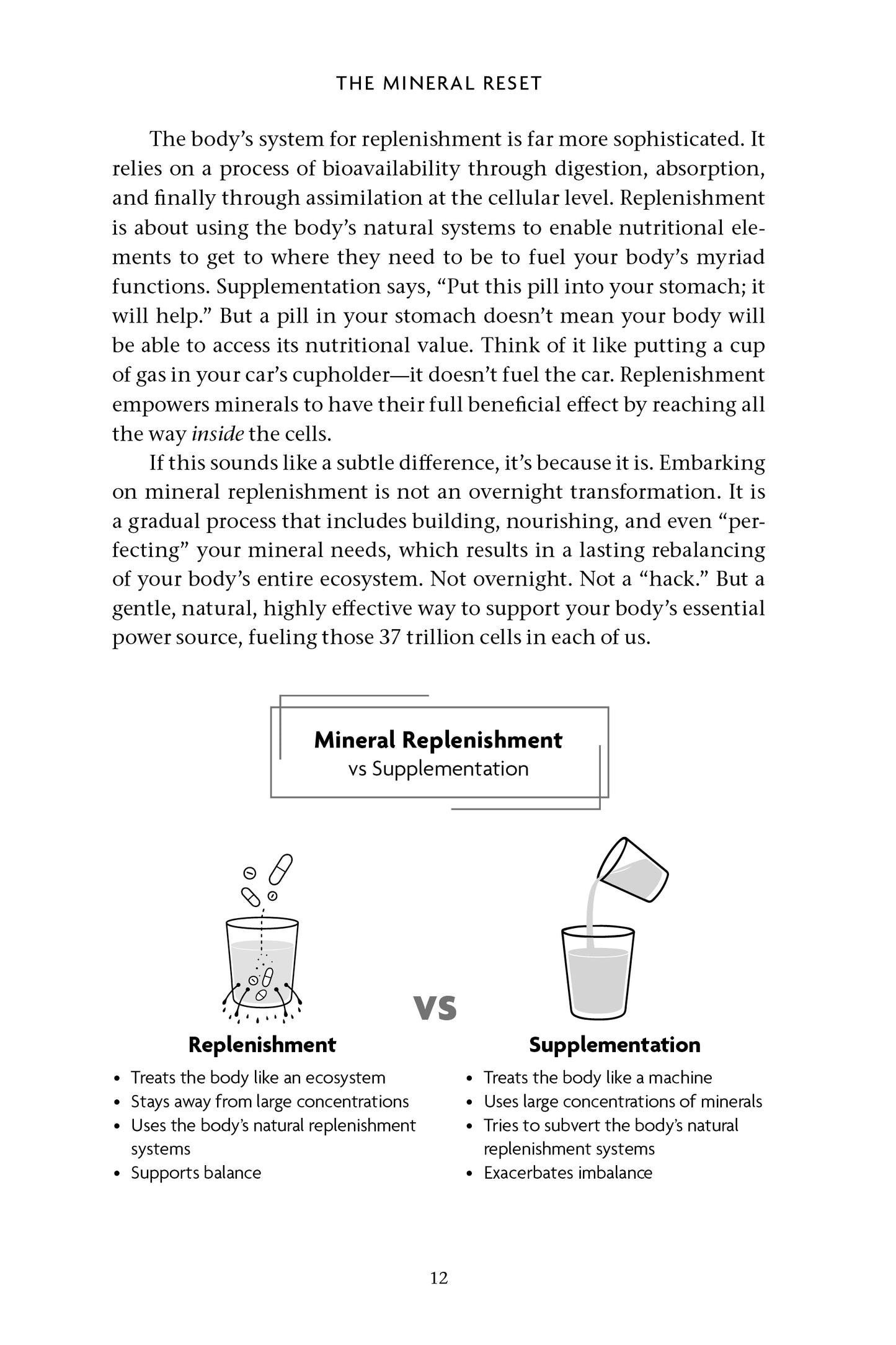 The Mineral Reset - image 2