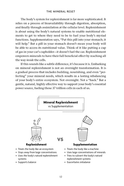The Mineral Reset - image 2