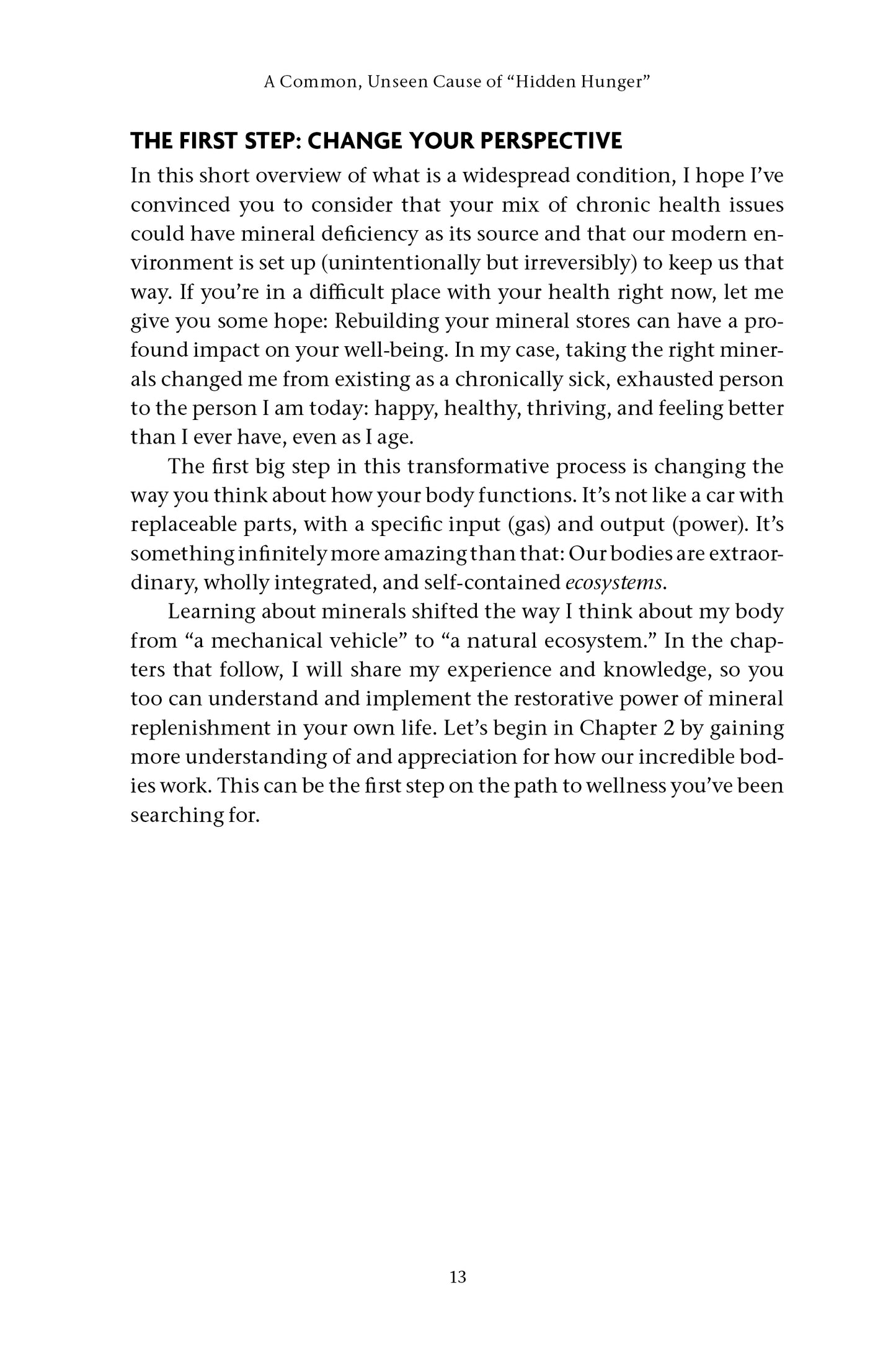 The Mineral Reset - image 5