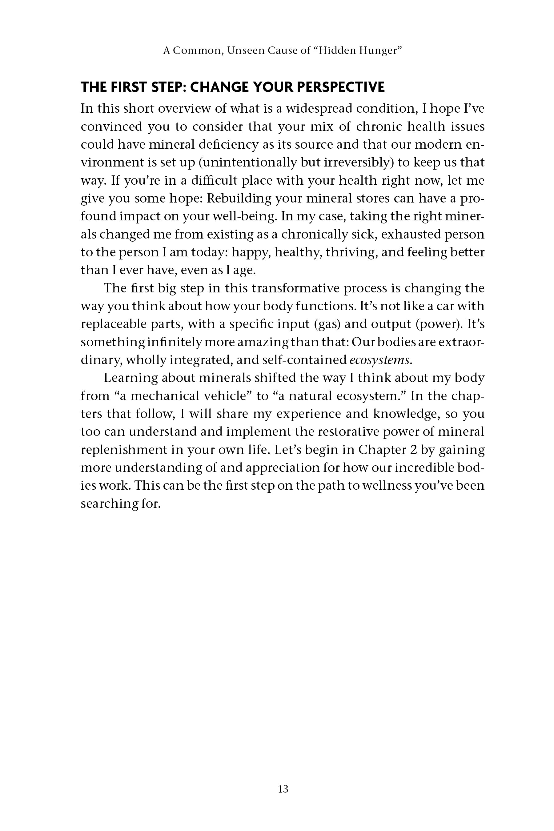 The Mineral Reset - image 5