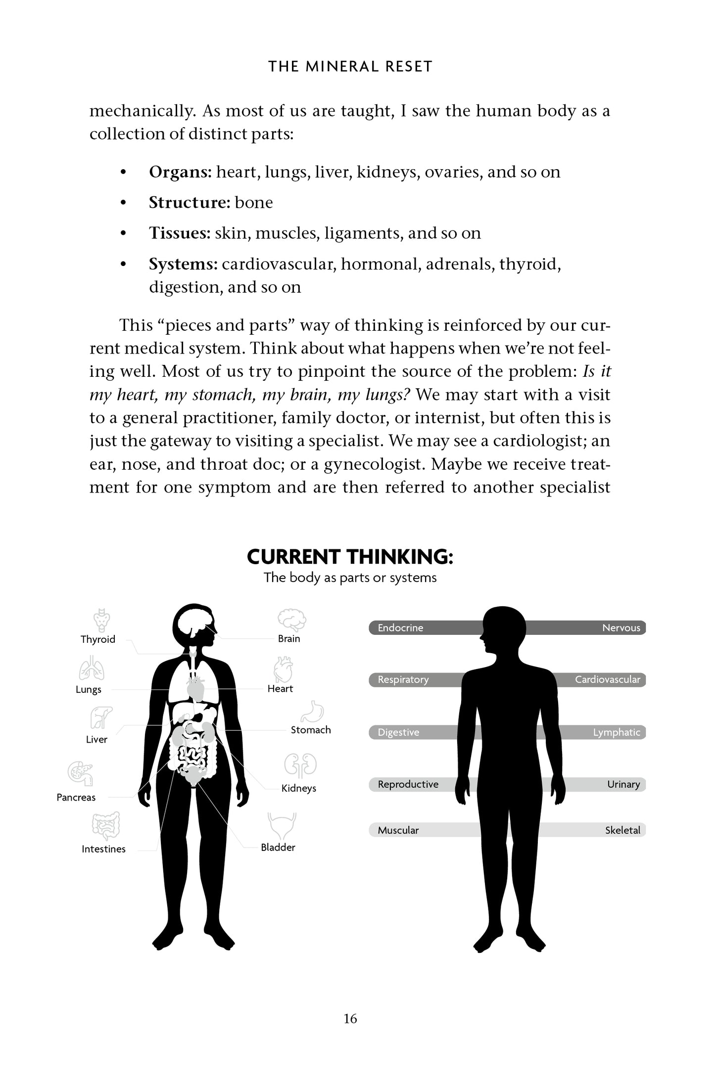 The Mineral Reset - image 4