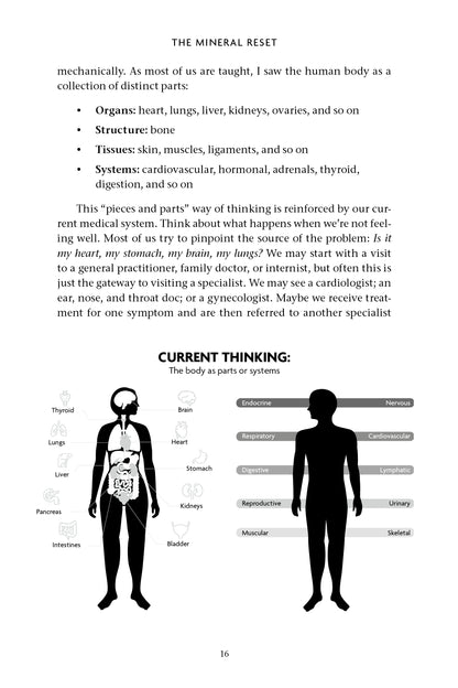 The Mineral Reset - image 4