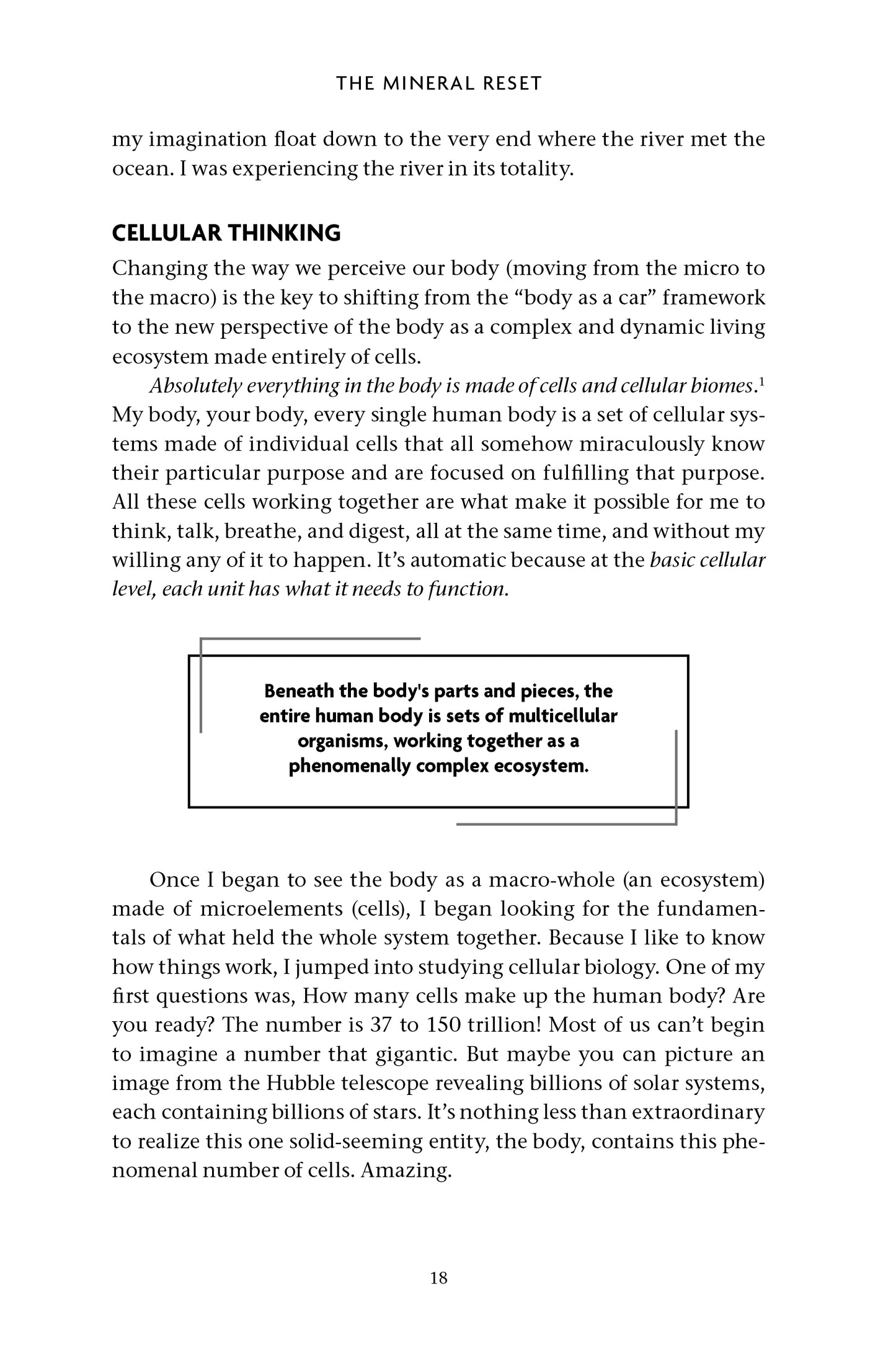 The Mineral Reset - image 6
