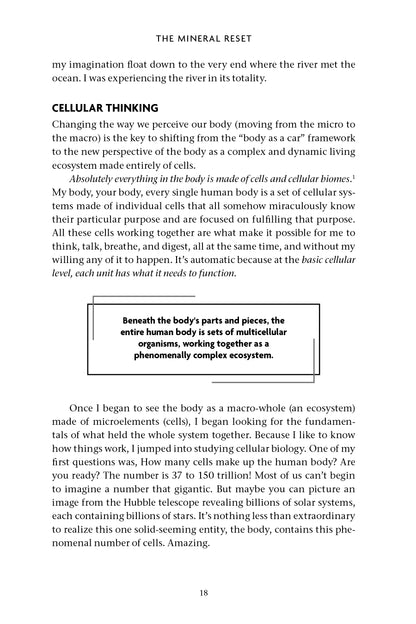 The Mineral Reset - image 6