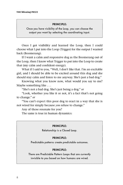 The Missing Piece - image 3