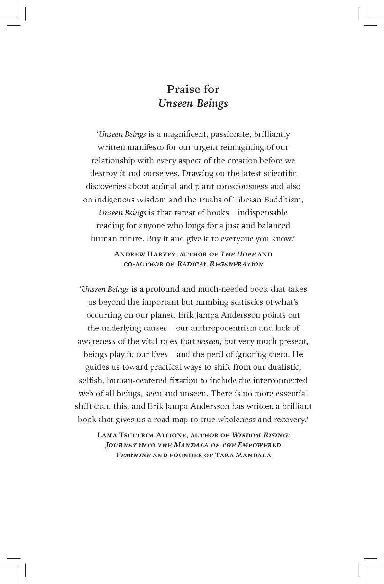 Unseen Beings - image 9