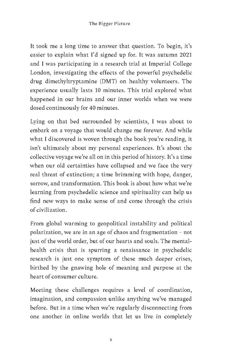 The Bigger Picture - image 11