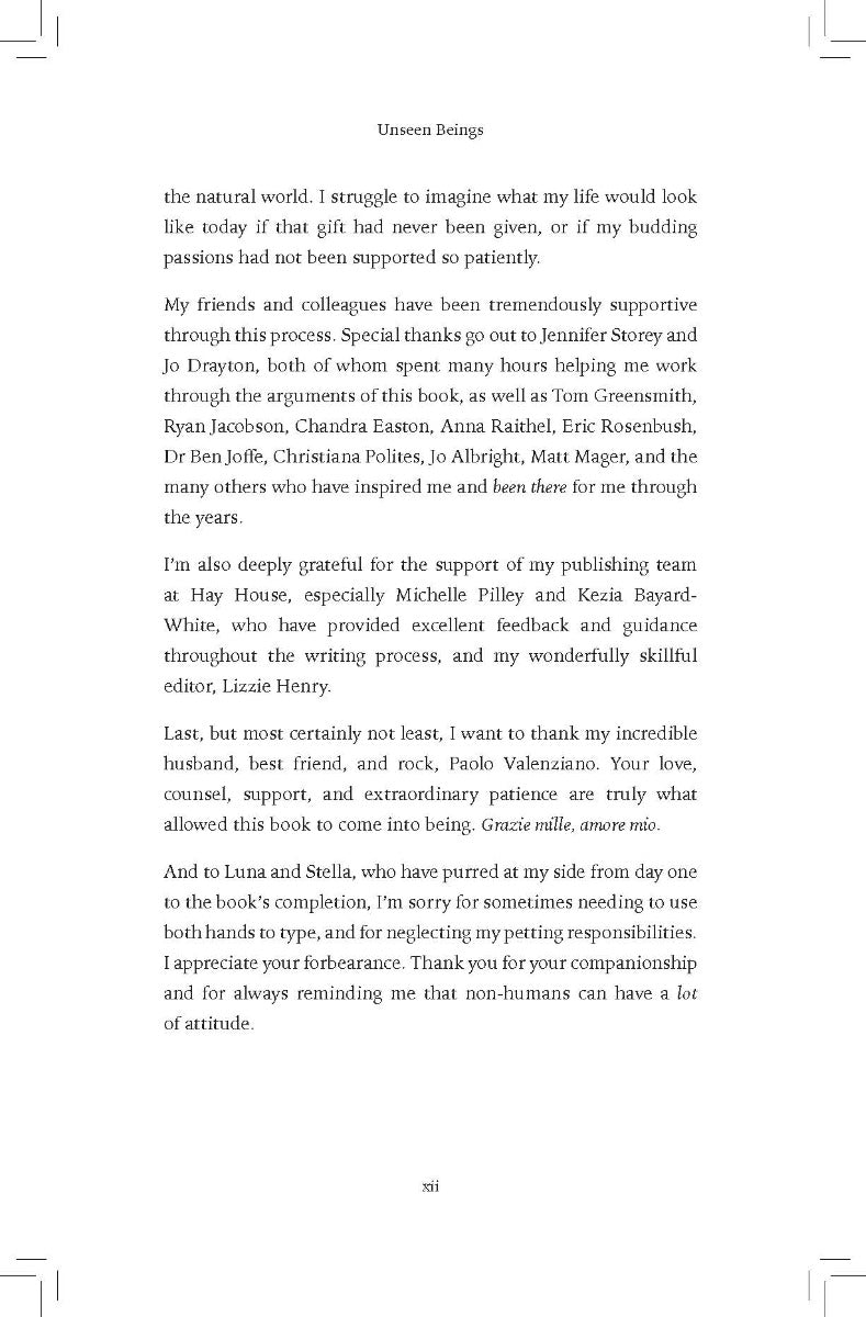 Unseen Beings - image 7