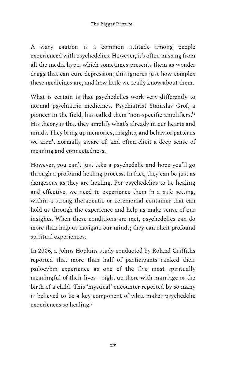 The Bigger Picture - image 7