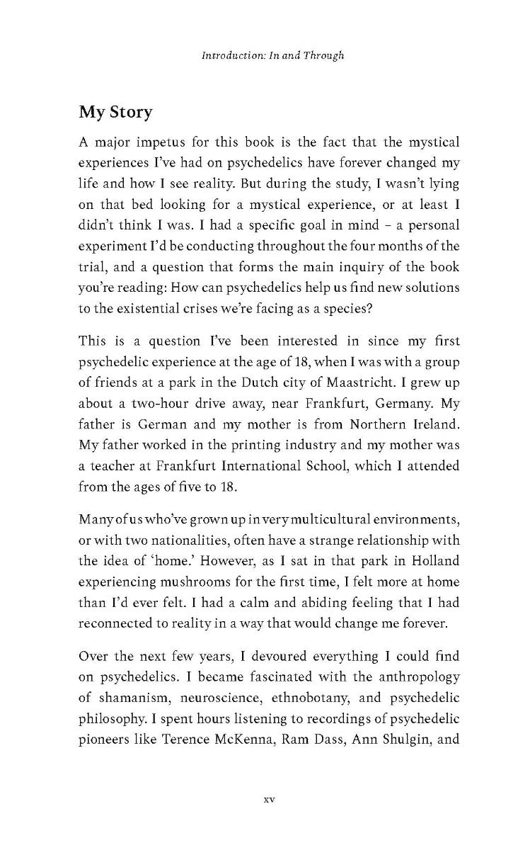 The Bigger Picture - image 6