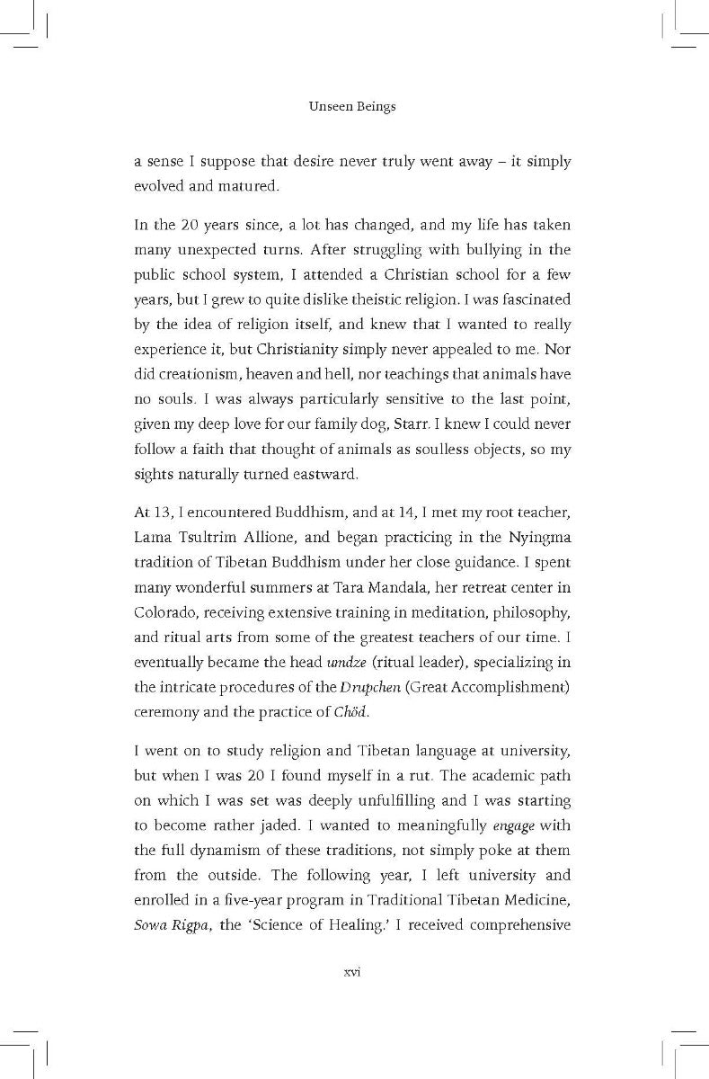 Unseen Beings - image 3