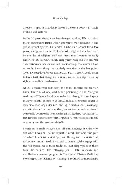 Unseen Beings - image 3