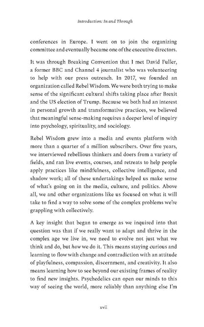 The Bigger Picture - image 4