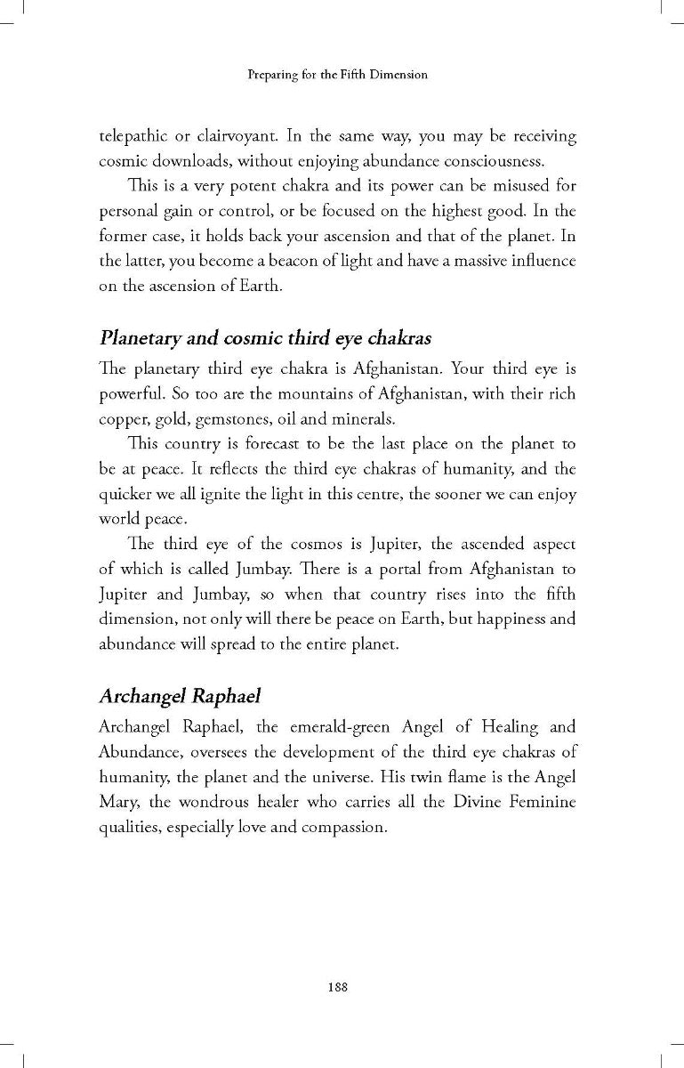 The Golden Future - image 4