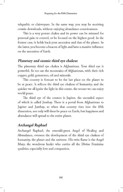 The Golden Future - image 4