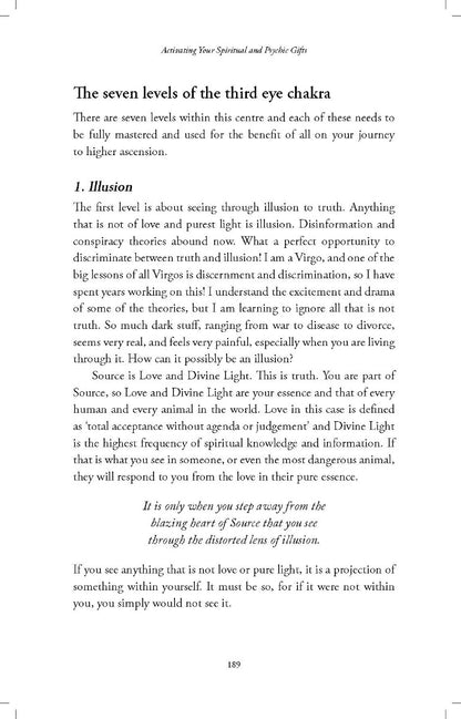 The Golden Future - image 3