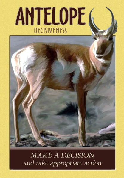 Power Animal Oracle Cards - image 5