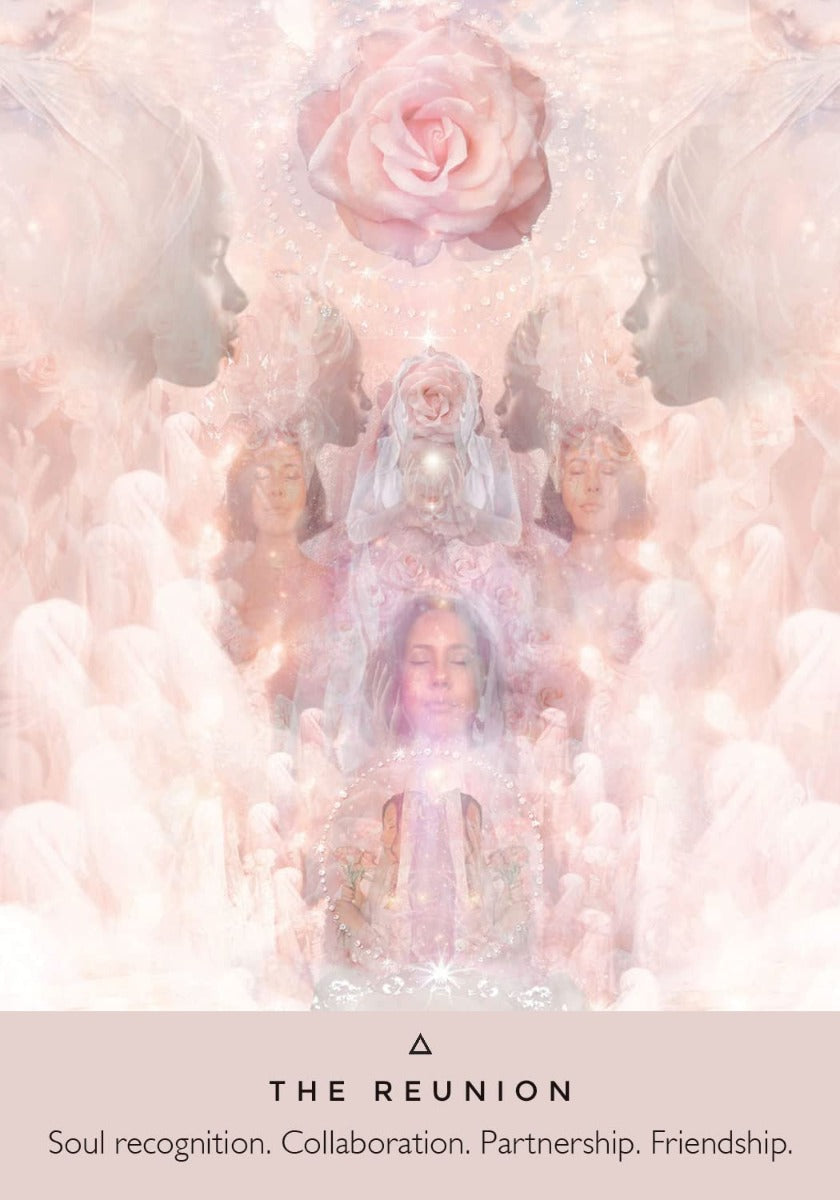 The Rose Oracle - image 5