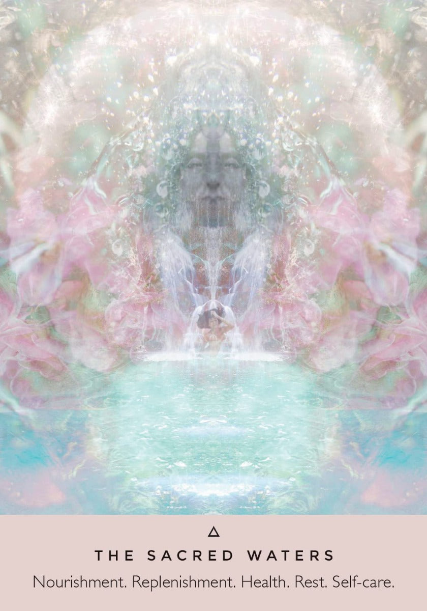 The Rose Oracle - image 6