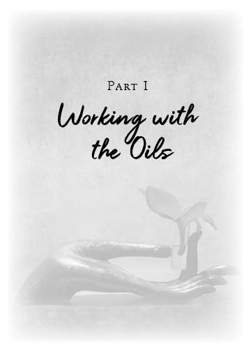 Sacred Oils - image 8
