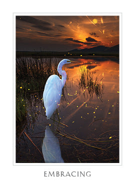 Sacred Destiny Oracle - image 7