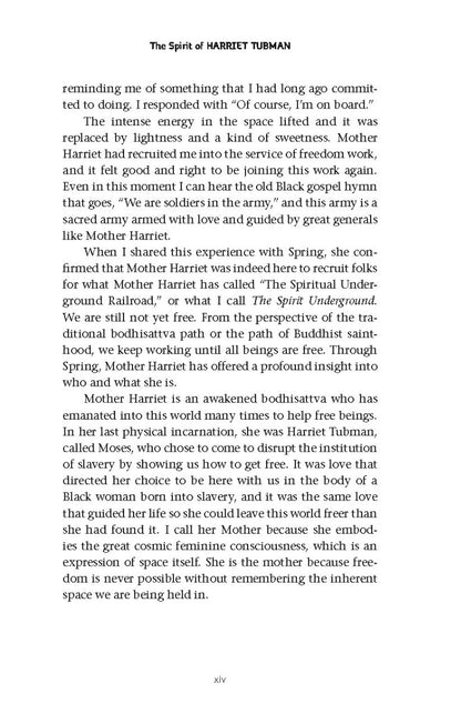 The Spirit of Harriet Tubman - image 8