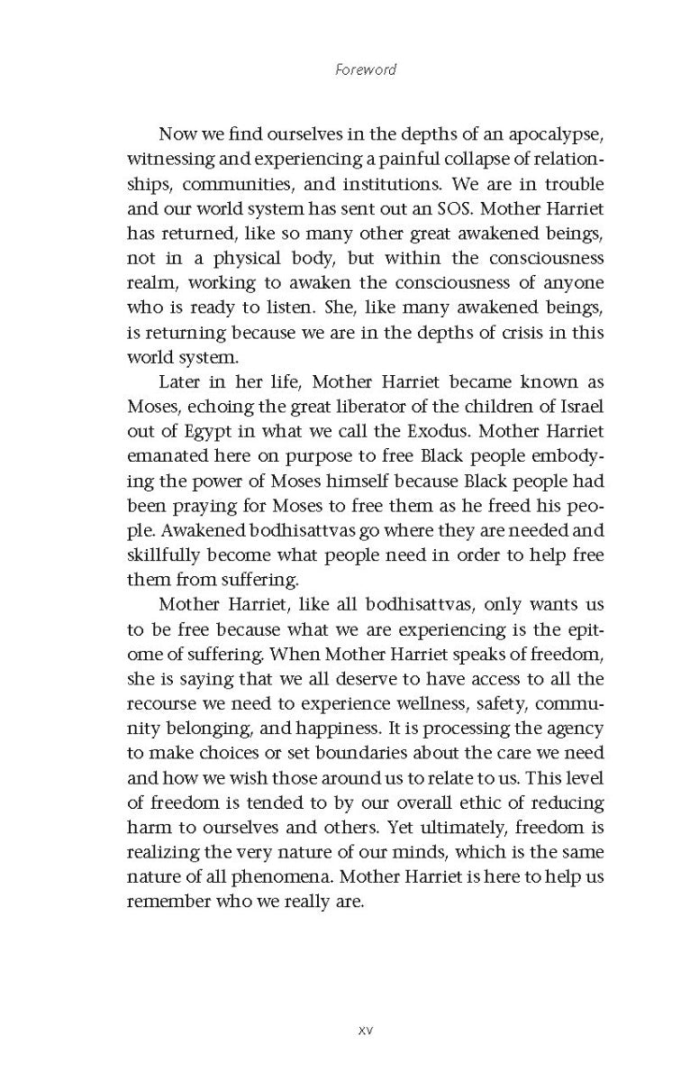 The Spirit of Harriet Tubman - image 7