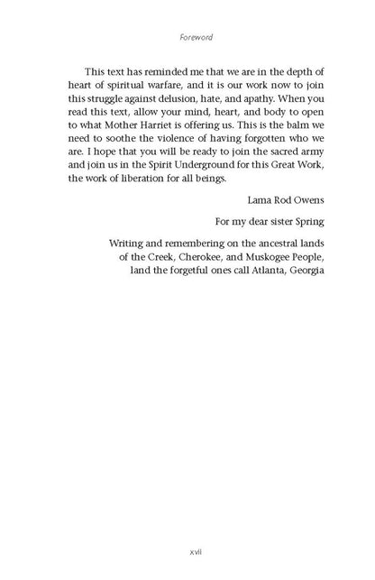 The Spirit of Harriet Tubman - image 5