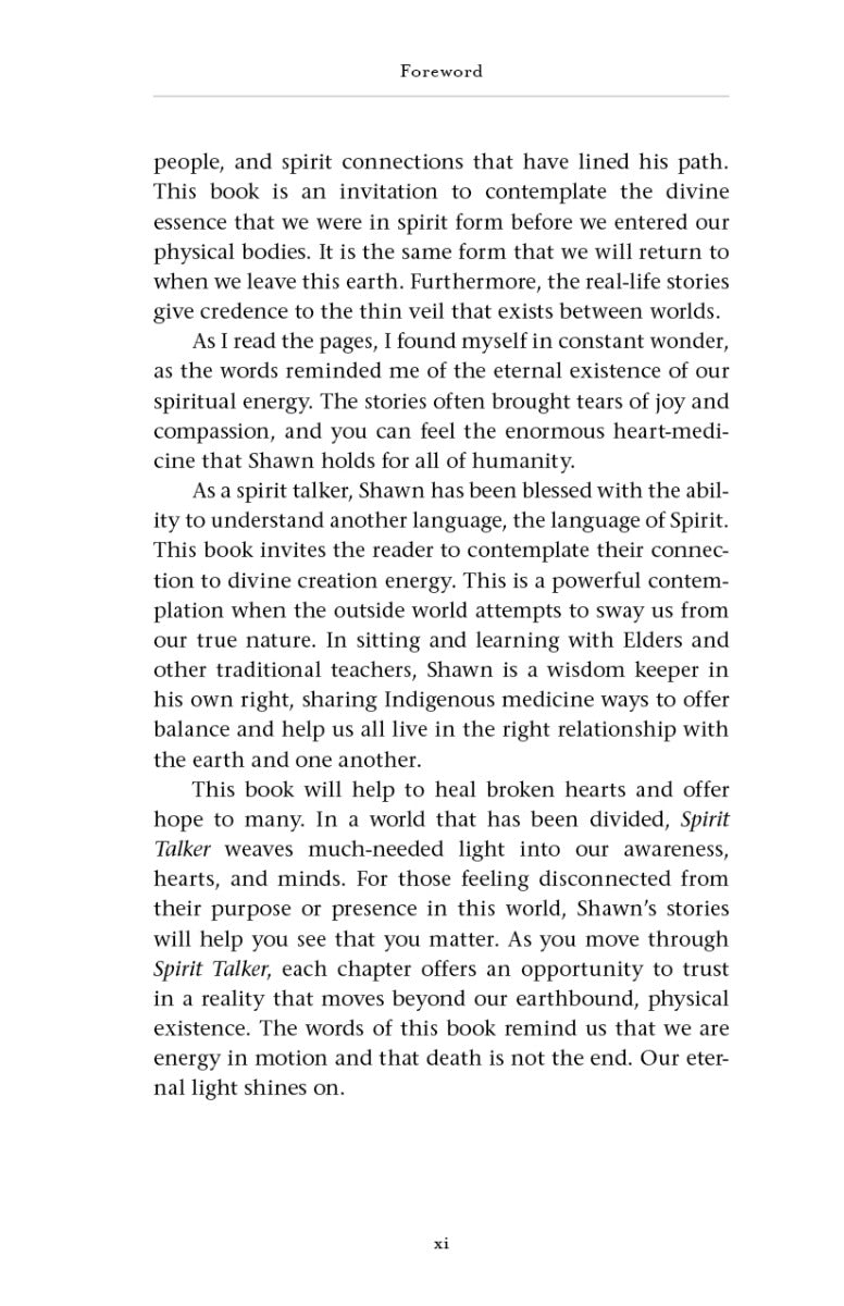 Spirit Talker - image 10