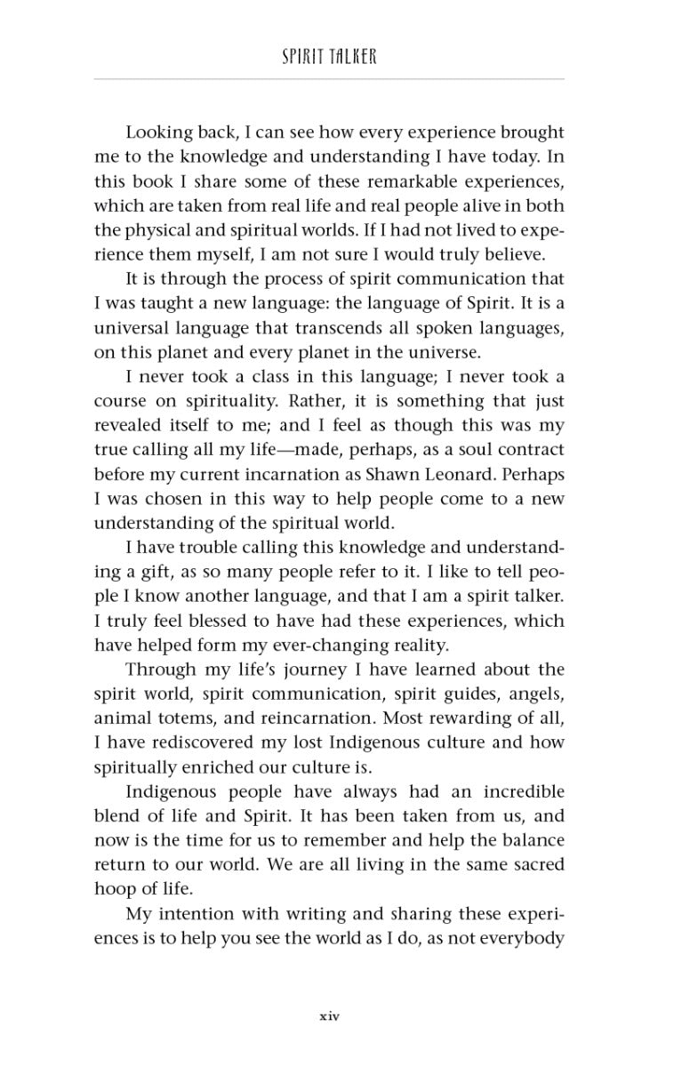 Spirit Talker - image 7