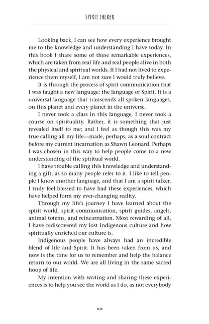 Spirit Talker - image 7