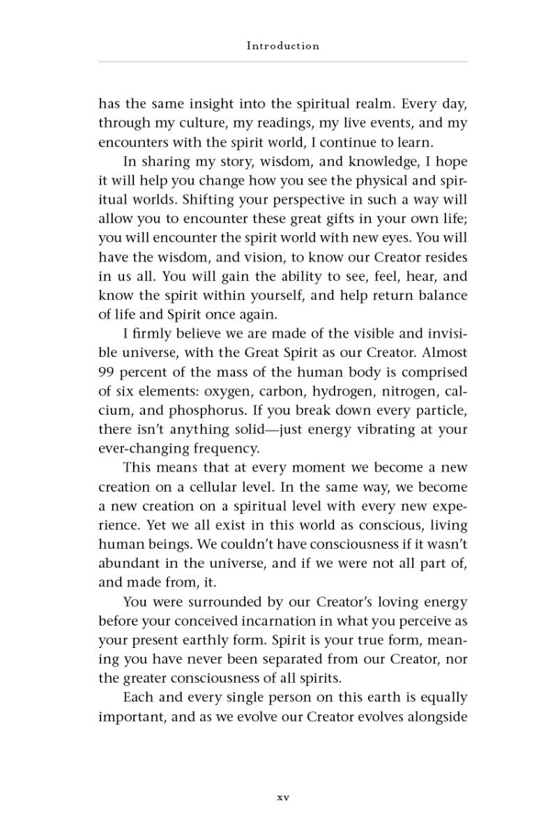 Spirit Talker - image 6