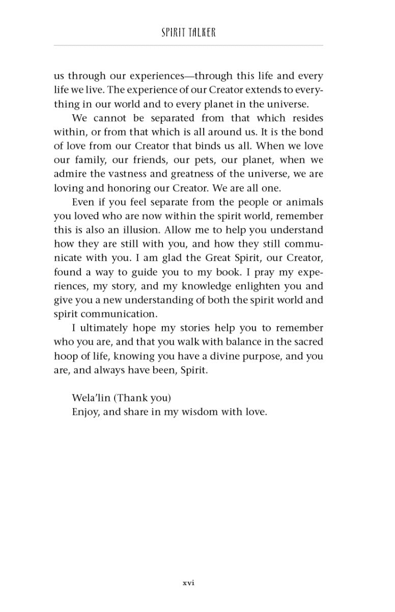 Spirit Talker - image 5