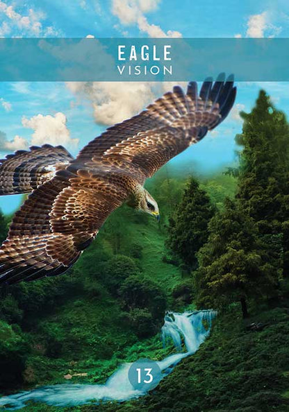 Messages from the Spirits of Nature Oracle - image 5