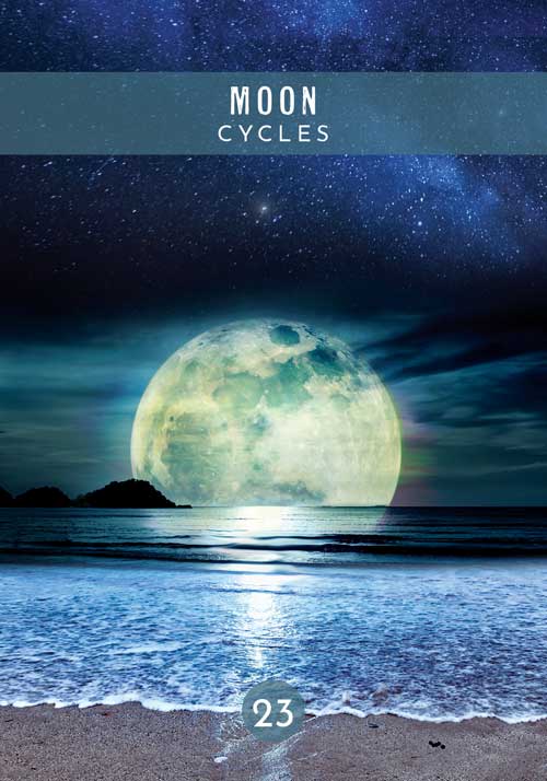 Messages from the Spirits of Nature Oracle - image 10