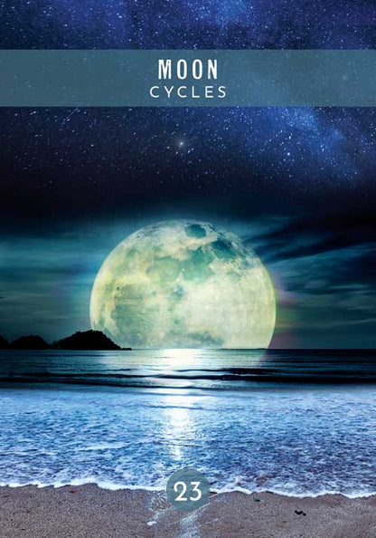 Messages from the Spirits of Nature Oracle - image 10