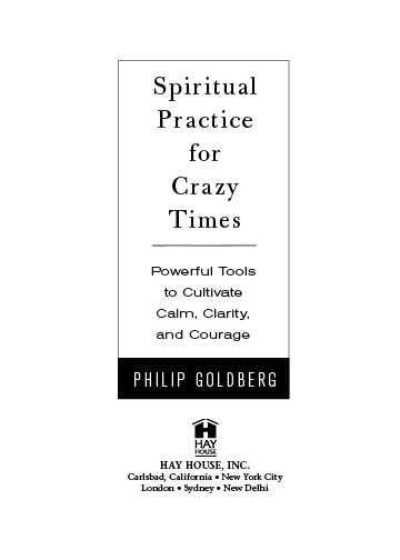 Spiritual Practice for Crazy Times - image 4
