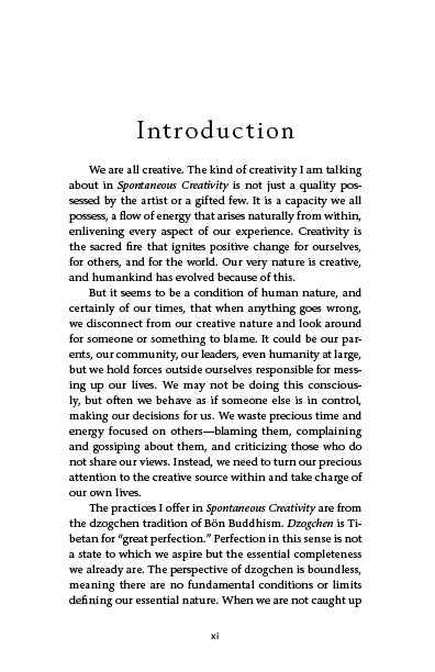 Spontaneous Creativity - image 3