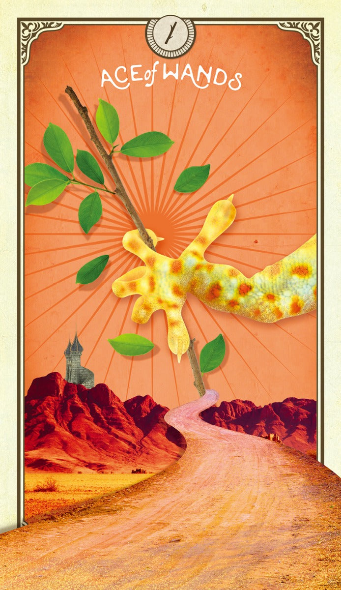 The Tarot of Curious Creatures - image 11