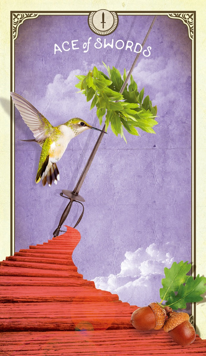 The Tarot of Curious Creatures - image 7