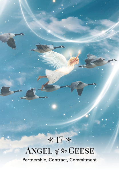 Angels of Nature Oracle - image 4
