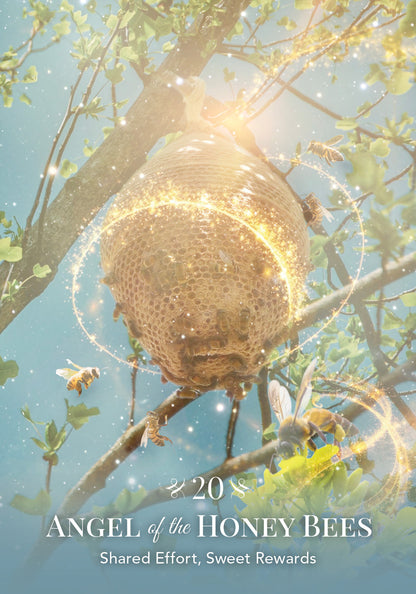 Angels of Nature Oracle - image 7