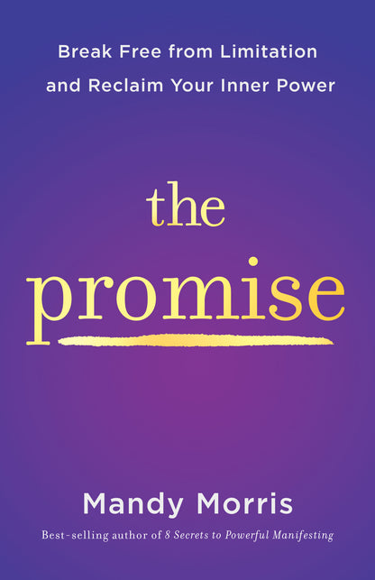 The Promise - image 1